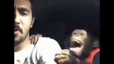 monkey with a man in a car yelling