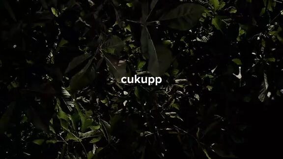 Cukupa