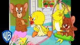 Tom et Jerry en Français 🇫🇷 | Les oiseaux d'une plume... Volent autour de Jerry🐣 | WBKids