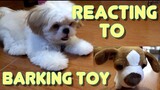 Puppy's Reaction to Barking Dog Stuffed Toy