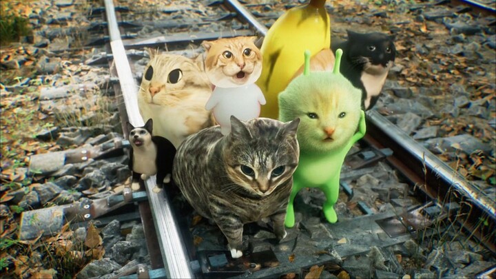 Bài toán xe điện trong meme mèo