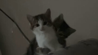 You smell so good