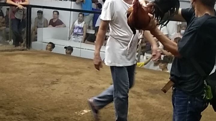 silang coliseum dapang dapa agad kalaban