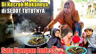 Ludess‼️Berburu TUTUT SAWAH dan Masak TUTUT Kuah Santan, Enaknya Bikin Ketagihan, Masakan Kampung