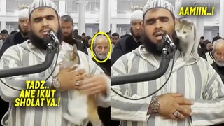 MASYAALLAH.! Naik Ke Pundak Imam Sholat Tarawih, Kucing Ini Diperlakukan Sangat Baik ~ Kucing Sholat