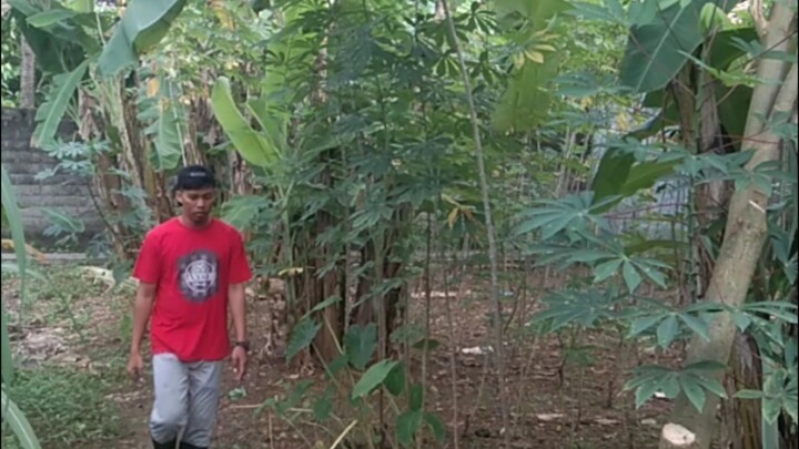 ROMLAH KETAKUTAN MELIHAT CECEP