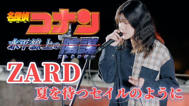 天台深情演唱《名侦探柯南》~zard~《夏を待つセイル(帆)のように》