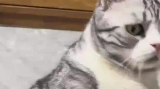 The doctor’s smirk is harder to crack than an AK! #Proctology #Funny #Unexpected