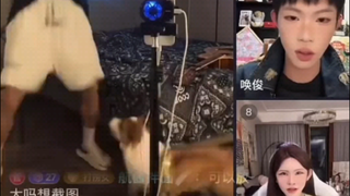 “川渝通讯录柯基爱吃的大玉米棒子，18楼狗拿耗子”
