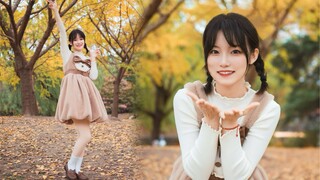 【Gummy】Cute Hikari (I’m so sorry for being so cute)/HoneyWorks