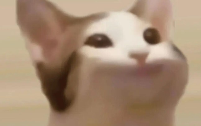 Mọi người ơi, bàn phím của tôi bị hỏng rồi… (trái tim tan vỡ)