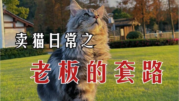 老板，有没有可能我只是想问个WIFI密码