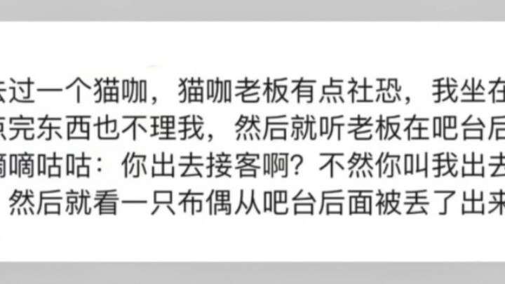 Para kucing-kucing ini benar-benar kerja keras buat dapetin uang di bidang ini.