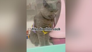 Hu hu hu hu đẹp trai mà ở dơ quá mèo cat TheThaoMoiNgay