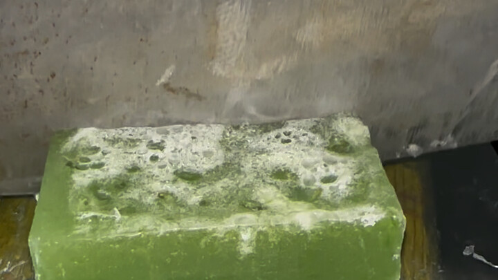 Cacti have many uses.