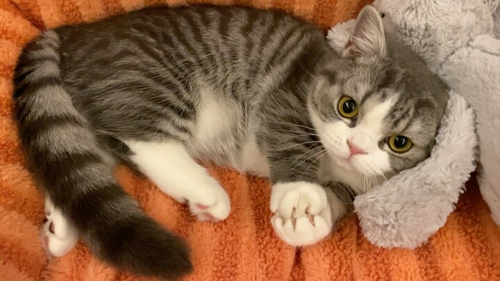 "Guess what I'm hiding in my hand!"
