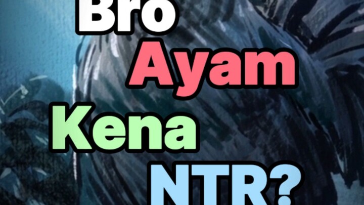 anime tentang ayam??