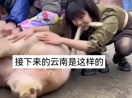 This Is What Yunnan Looks Like Next!