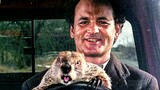 Bill Murray steals a groundhog | Groundhog Day | CLIP