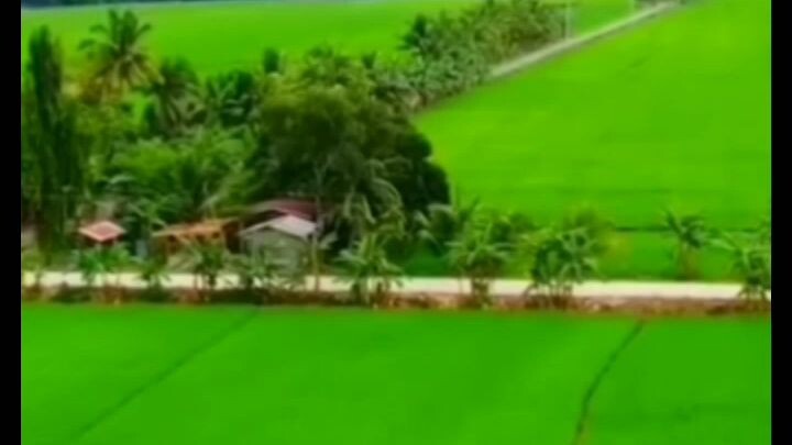 RAMILGARCIA..take a walk in the beautiful province