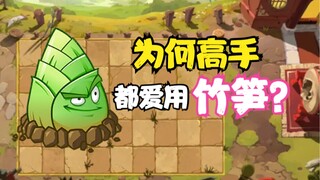 รีวิวพืชแมวดำ หน่อไม้ เส้นทางพลิกฟื้นของช่างขูดกัวซา