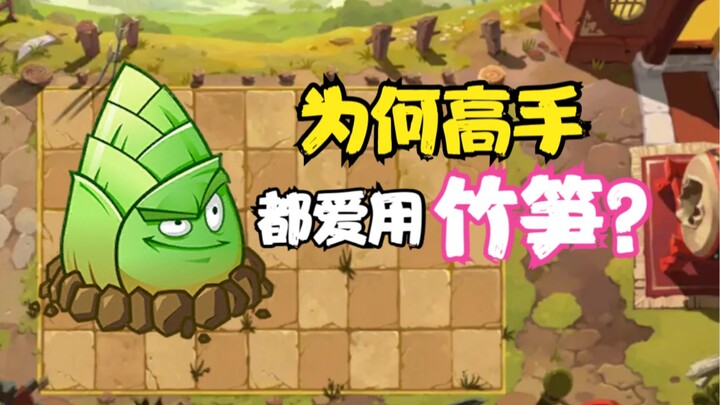 مراجعة نباتات القط الأسود: براعم الخيزران ورحلة صعود معلم الحجامة