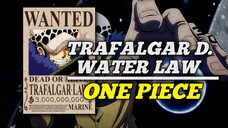 FAKTA MENGEJUTKAN TRAFALGAR D. WATEER LAW❗❗❗