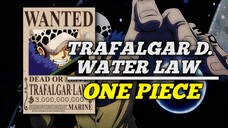 FAKTA MENGEJUTKAN TRAFALGAR D. WATEER LAW❗❗❗