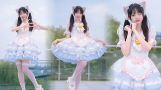 【Liuyun】خادمة ذات أذنين قطتين معجبة بك ~啾！ ❤️غطاء رقص حيوي