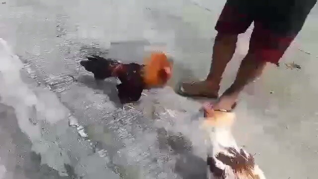 First spar halimaw agad ang palo😊💪