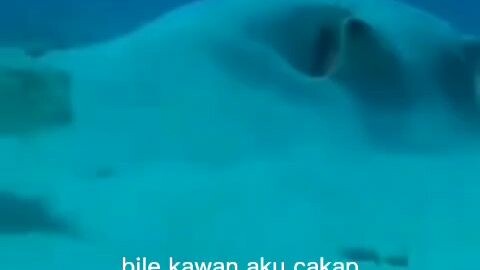 kamu lihat muka saya ni ada saya ni kesah