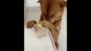 เราทำกับข้าวไม่อร่อย แต่เราอร่อยนะ