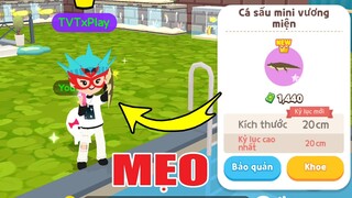 Đây Là Cách Mà TVT Săn Cá Sấu Mini Vương Miện, Mẹo Chọn Thời Gian Chuẩn Nhất | Play Together