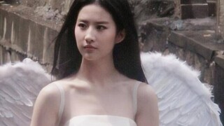 Bẫy Từ Hải Kiều