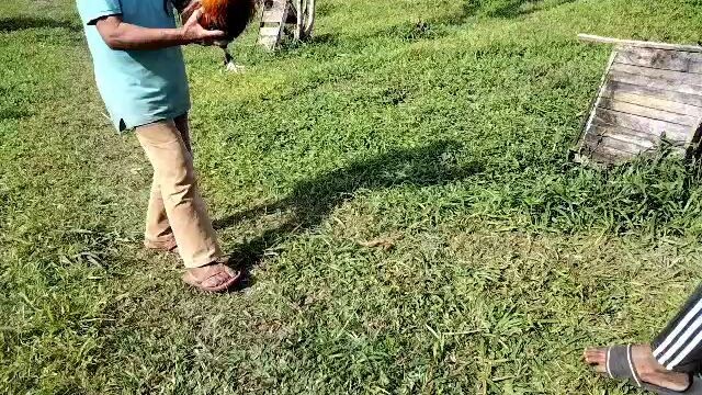 negros lng sakalam....