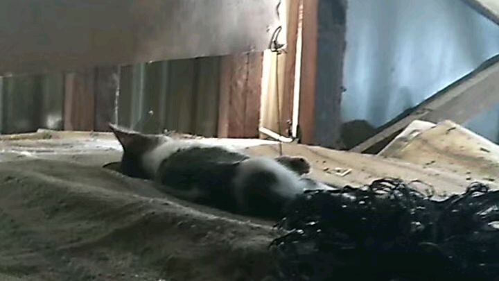 Rertas certas & discd is one added 🤣🤣🤣🤣🤣🤣