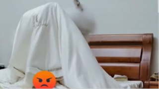 Khi Sen Ngủ Nướng Không Nấu Cơm Cho Boss =)) Phần 2 #hai