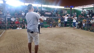 banay banay cockpit arena 2hits first fight NALUPAGI GF #alimbuyugin