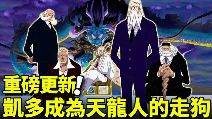【海賊王】凱多成為世界政府的走狗？與五老星密謀不可告人的計劃？為了阻止路飛不惜成為天龍人的後盾！