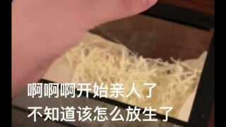 تقصد أنك استطعت تربية أشد الكائنات خوفًا، وأصعبها رعاية، وأكثرها صعوبة في التعرف على الناس...