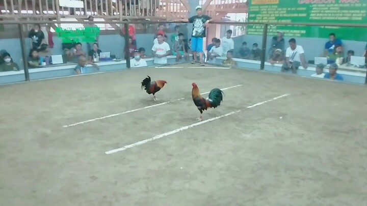 2winner kana kaibigan🐓😊