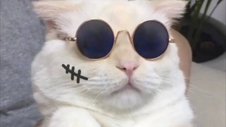 “นี่สิถึงจะเรียกว่าจับกุ้งตัวจริง!”