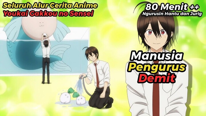 ANIME YOUKAI GAKKOU NO SENSEI HAJIMEMASHITA TAPI DICERITAIN WIBU MILITAN
