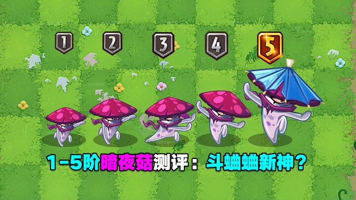 Đánh giá nấm bóng đêm cấp 1–5: Thần mới trong đấu dế? Đại ca điển trai trong game!