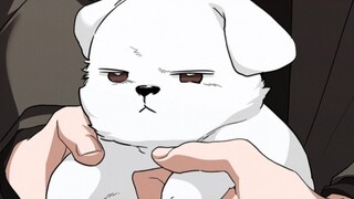 (ล่าสุด) หมาป่าน้อย และ ลูกหมา ไปพบพ่อแม่ด้วยกัน!
