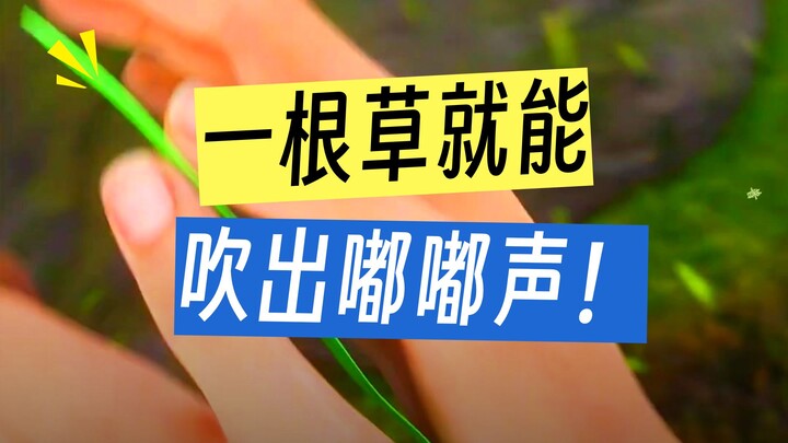 【Bảo tàng Khoa học Tây Mộc】đã cập nhật rồi, mau đến xem nào!