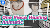 One Piece Healing Animatic_2