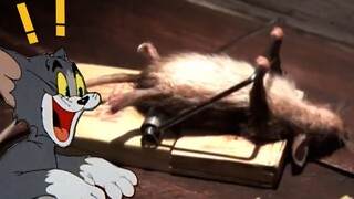 [Energi tinggi ke depan] Mouse membuat ulang Tom and Jerry versi kehidupan nyata, menipu dan mengang