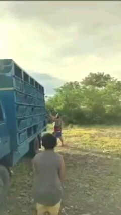 KAYO na humusga?