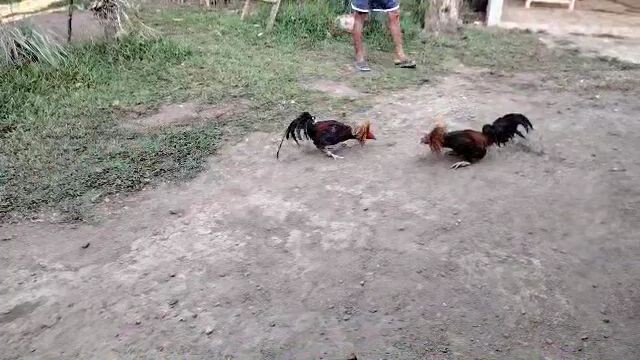 konting spar lng mga boss